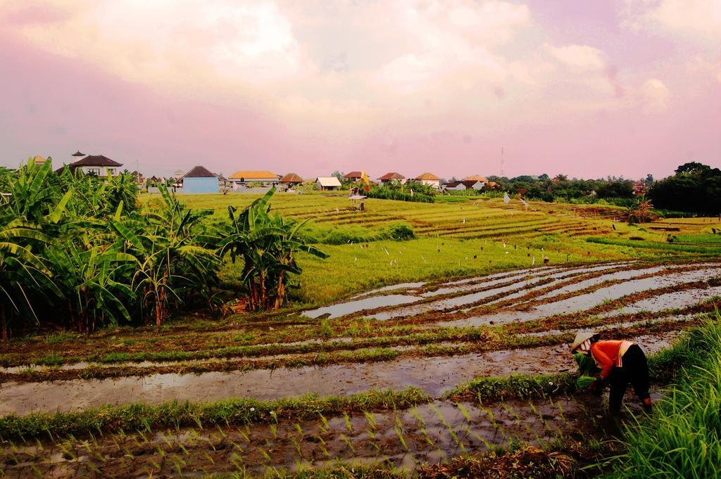 Grandpa Guest House Canggu Exterior foto