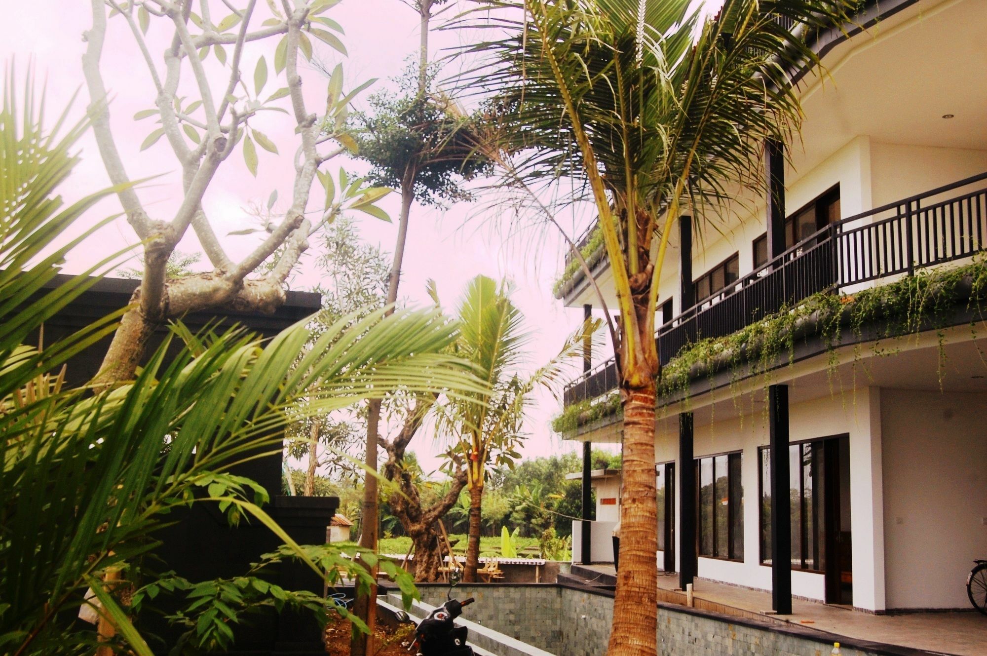 Grandpa Guest House Canggu Exterior foto